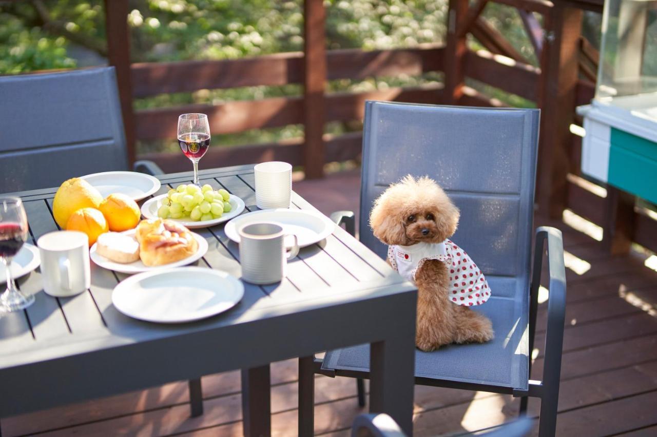 Suite Villa Nasukogen Doggy'S Ohana Экстерьер фото